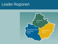 https://leader-mse.de/